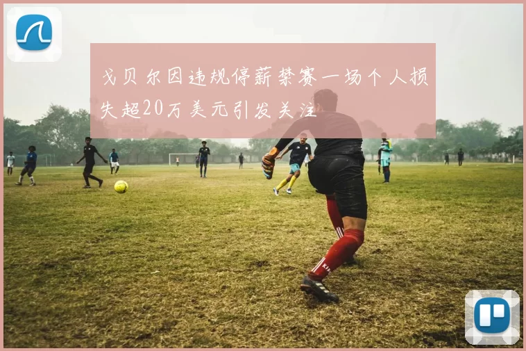 戈贝尔因违规停薪禁赛一场个人损失超20万美元引发关注